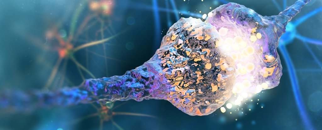 突触科技宣布完成A轮数千万港元融资 C Capital参投