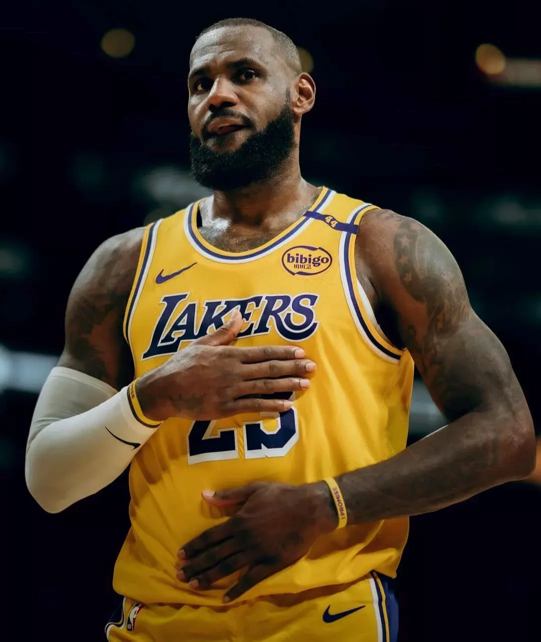 詹姆斯还没退役呢，湖人队就被卖了！估值高达100亿美元，巴斯家族狂赚150倍，新老板来头很大