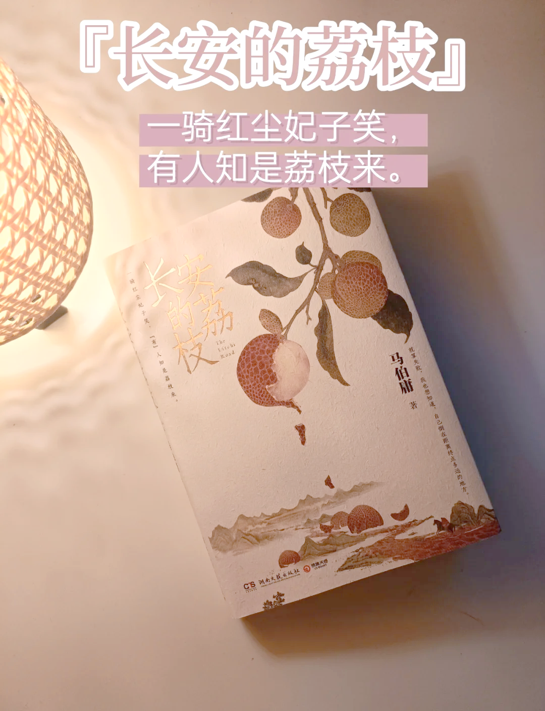 从《长安的荔枝》看创业投资人的修炼