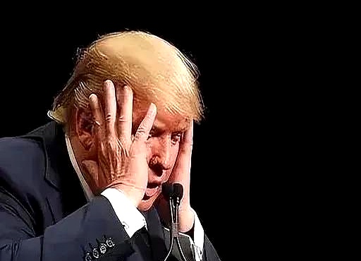 白宫再对美联储发起攻击 美联储回应总部大楼维修“超支”质疑