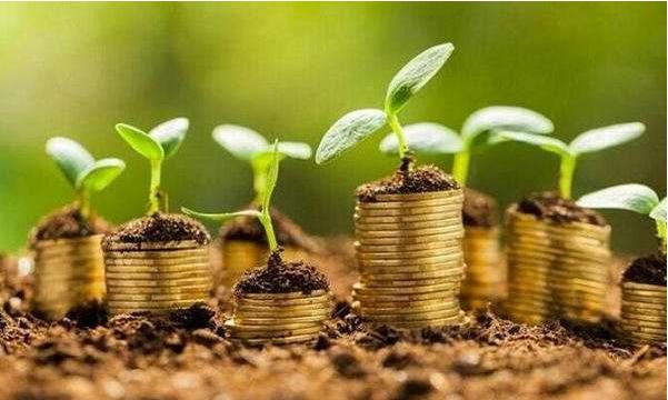 2025年上半年证券公司承销科技创新债券3813.91亿元 同比增长56.48%