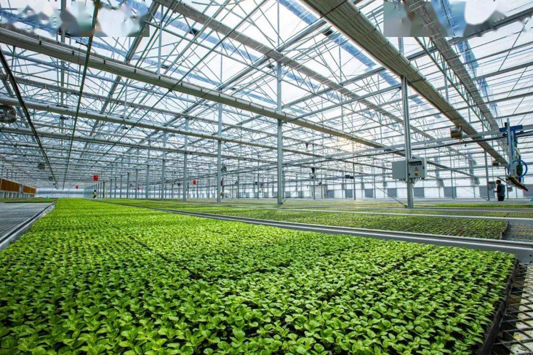 苏州市基金业联合会秘书长吴迪:股权投资“苏州模式”特色鲜明 产业龙头发挥引领作用