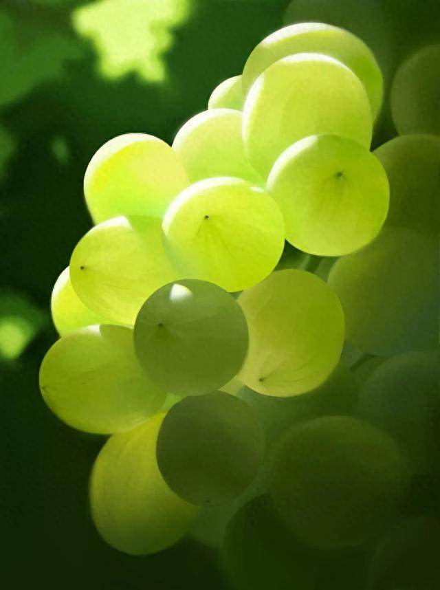 技术筑基+绿色转型 北交所上市公司多维谋发展