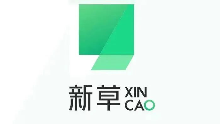 “下一个字节、小红书，今年应该已经成立了”