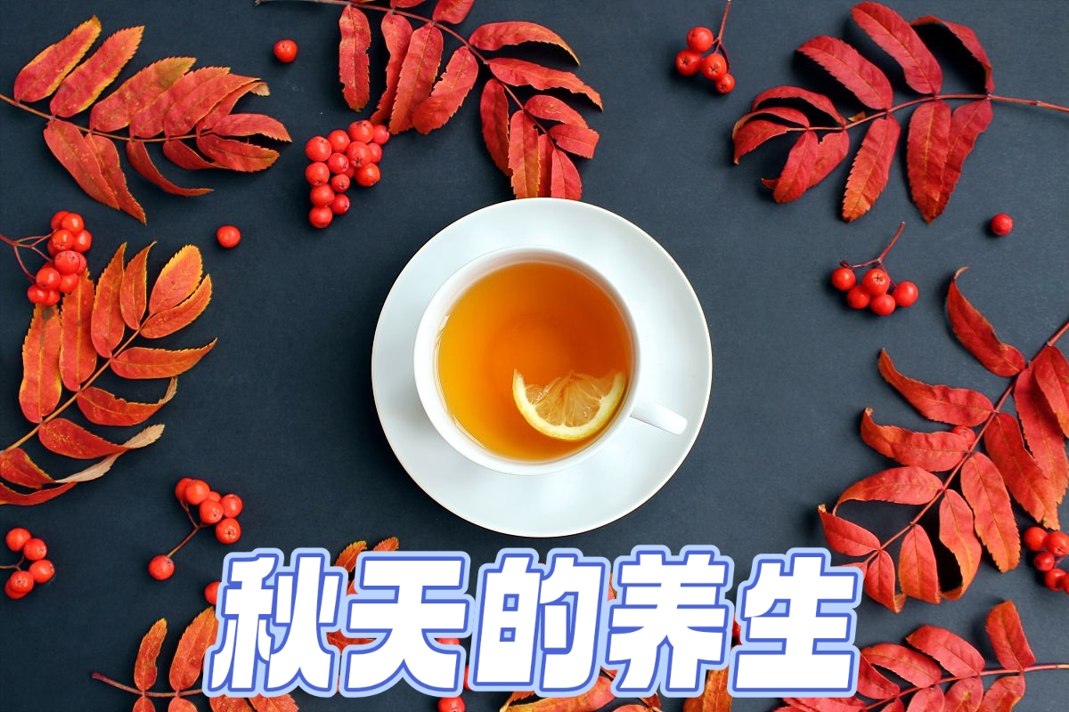 秋冻、贴秋膘、收敛心神……秋季养生你做对了吗